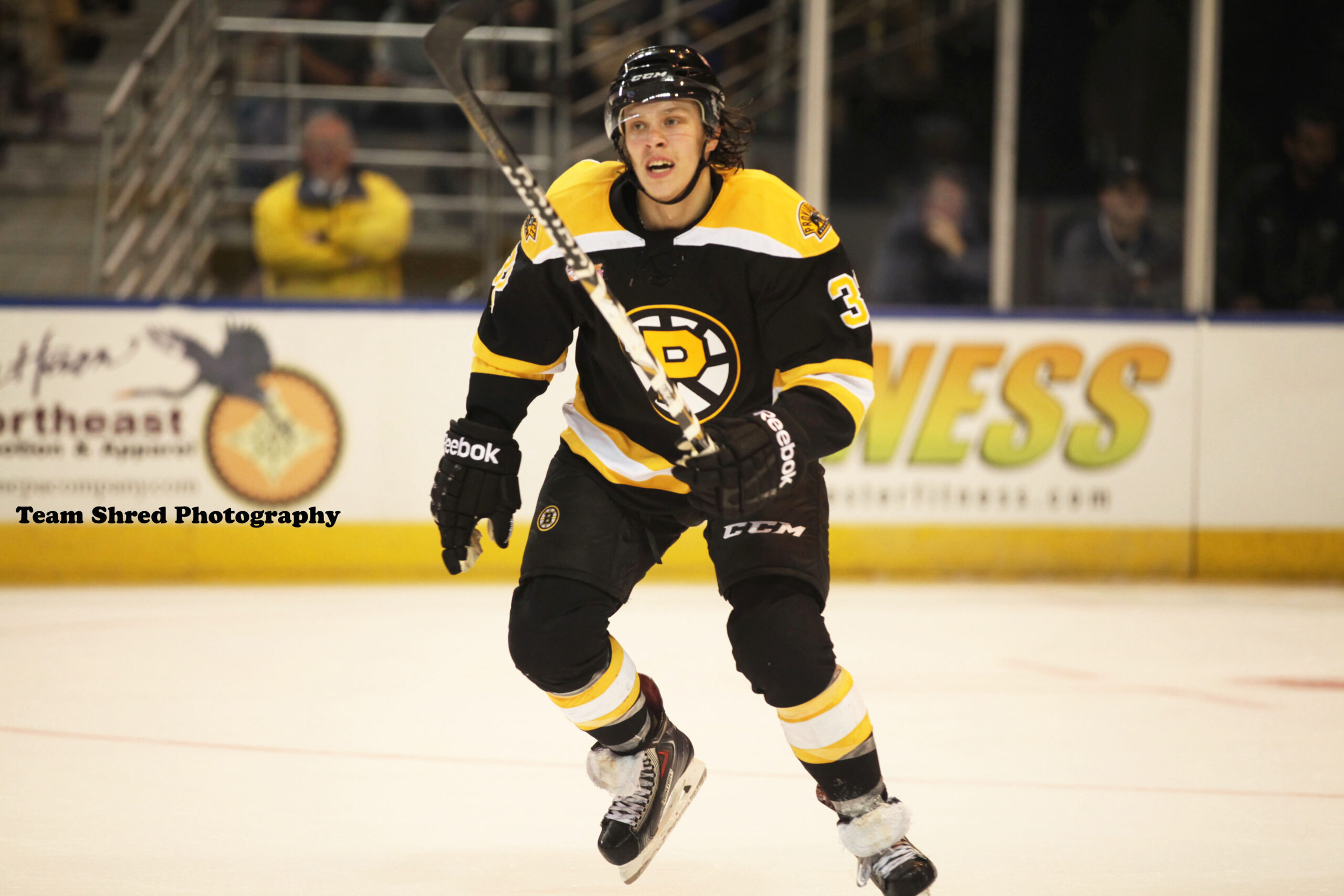 Exploring the Impact of David Pastrnak on the Bruins