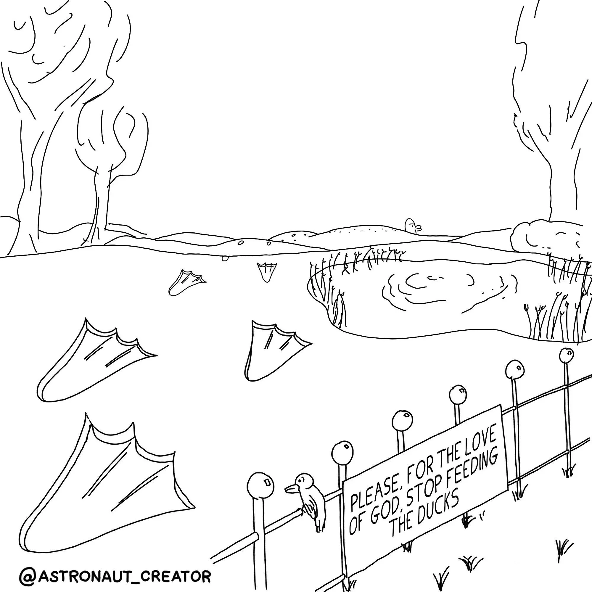 Understanding Ducks and Their Importance in Ecosystems