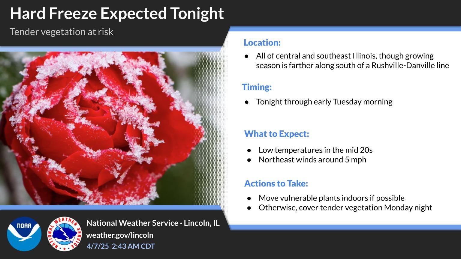 Understanding the Current Freeze Warnings in the U.S.