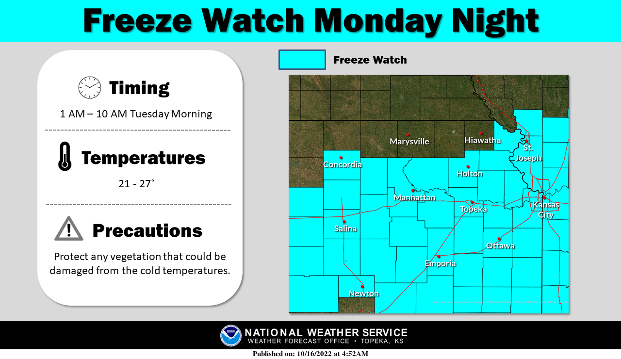 What You Need to Know About Freeze Watches