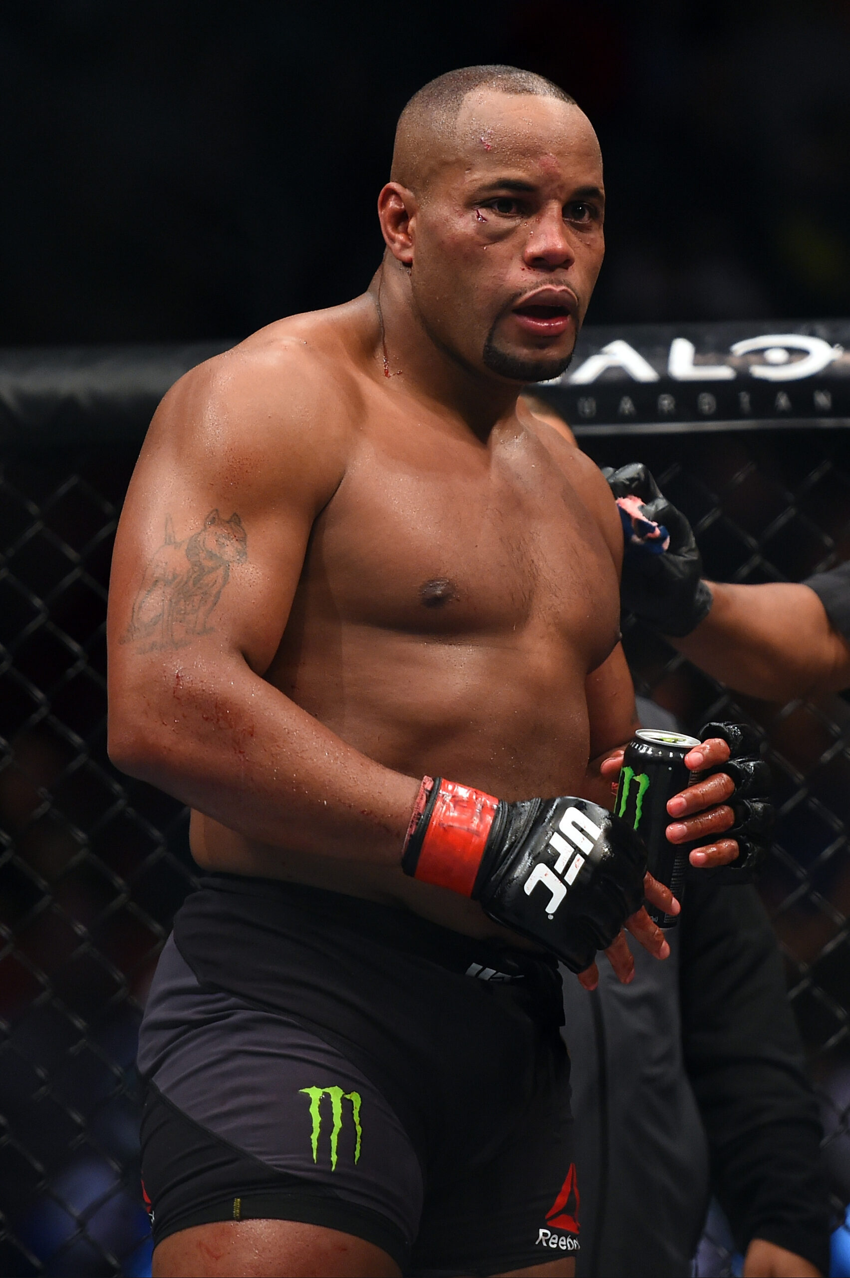 The Heavyweight UFC Division: Trends and Champions
