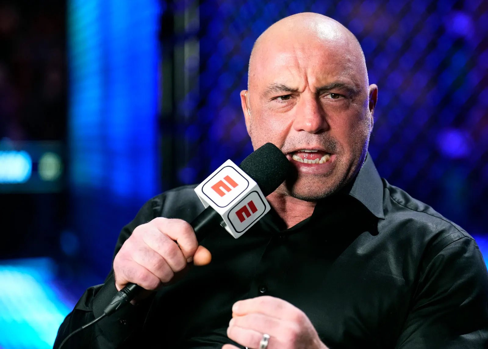The Rise and Influence of Joe Rogan in Modern Media