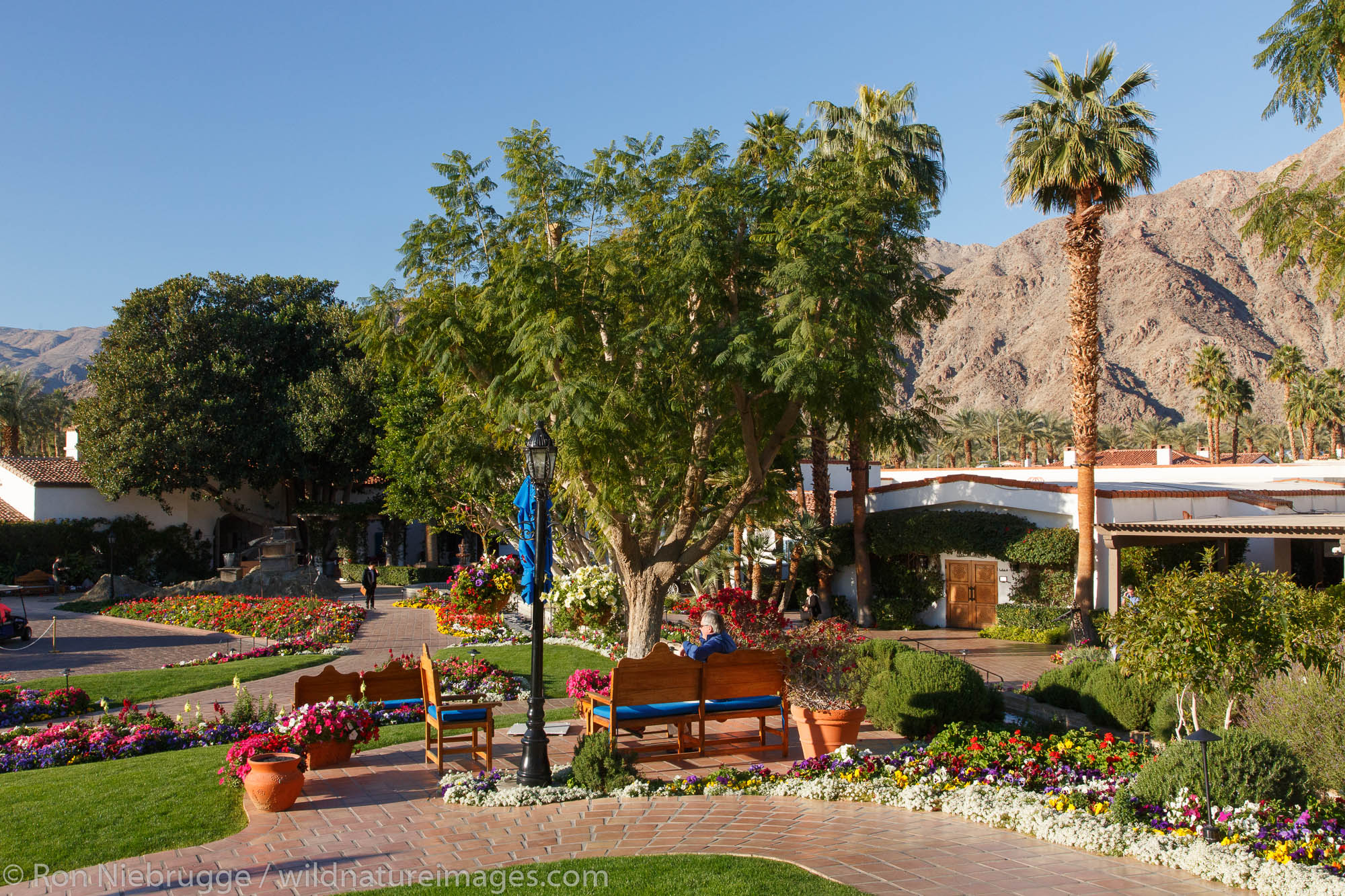 Discovering La Quinta, California: A Desert Gem