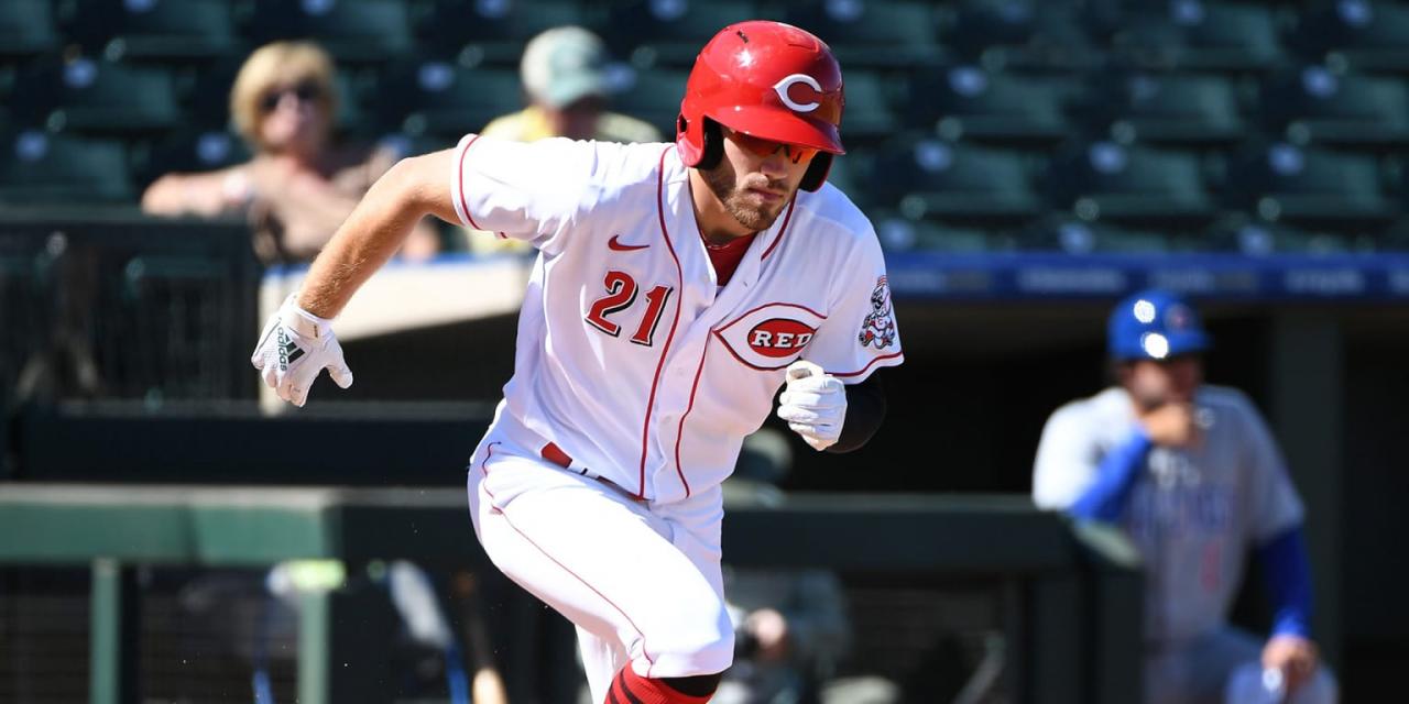 Michael Siani: A Look at His Promising Baseball Career