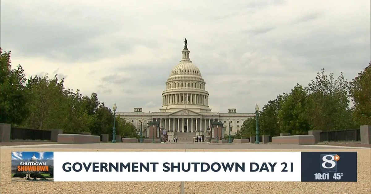 The Impact of the National Shutdown in the U.S.