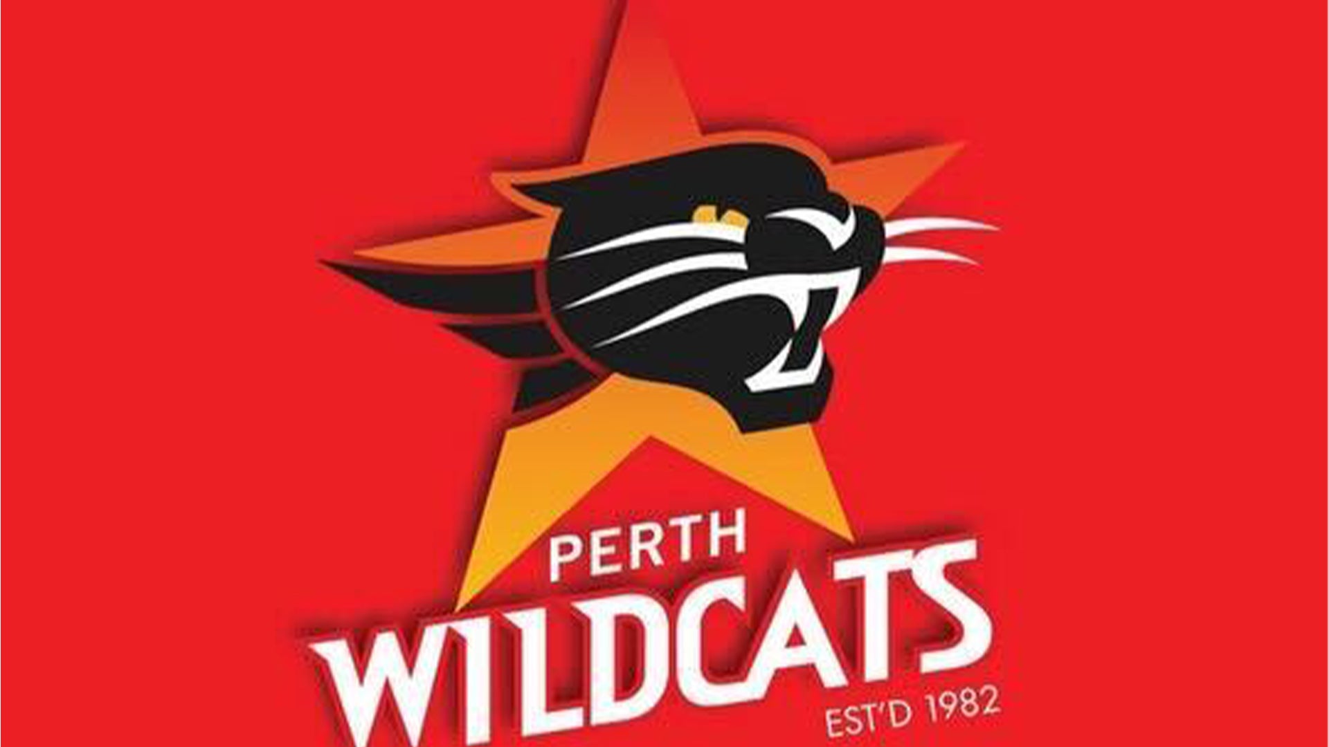 Perth Wildcats: A Legacy in Australian Basketball