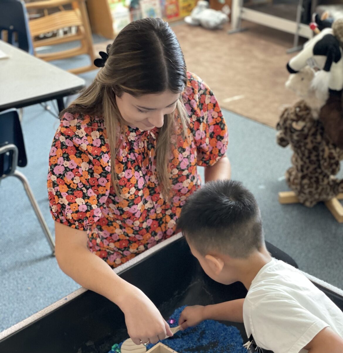 Exploring the Excellence of Plano Independent School District (Plano ISD)