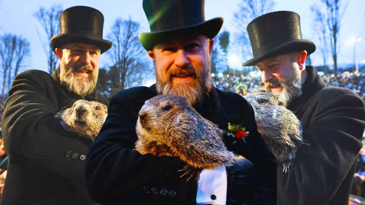 Punxsutawney Phil and Groundhog Day 2023: What Lies Ahead