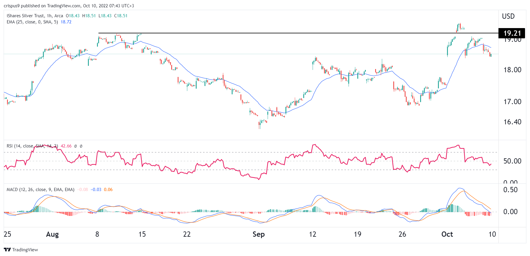 Understanding SLV Stock Price and Market Trends