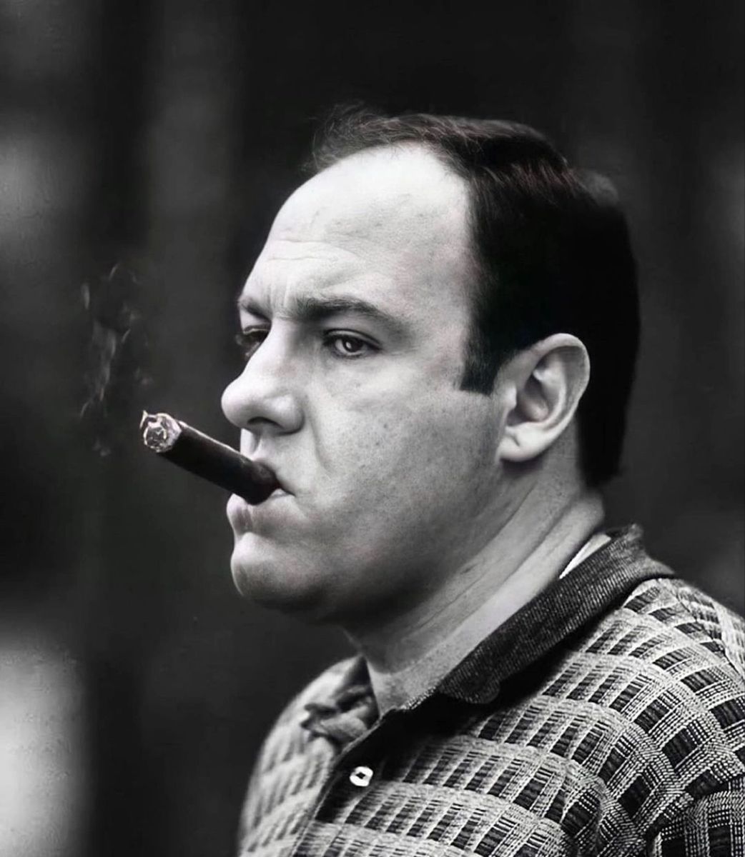 The Lasting Legacy of The Sopranos on Television Culture