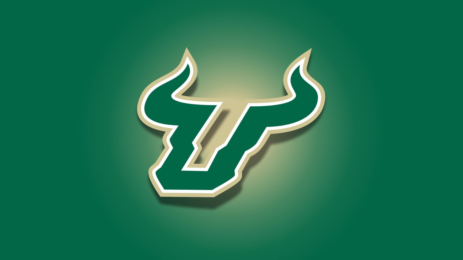 Recent Developments in South Florida Basketball