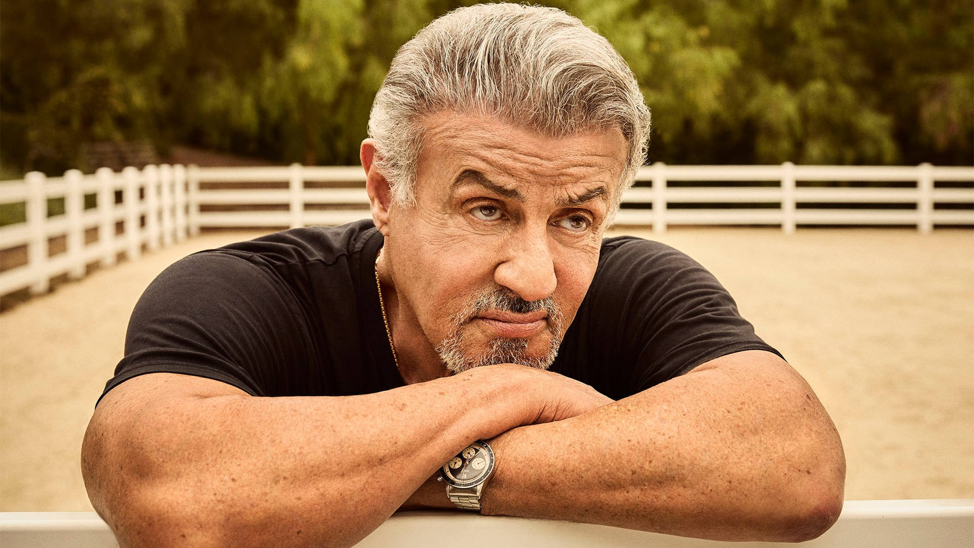 The Remarkable Journey of Sylvester Stallone