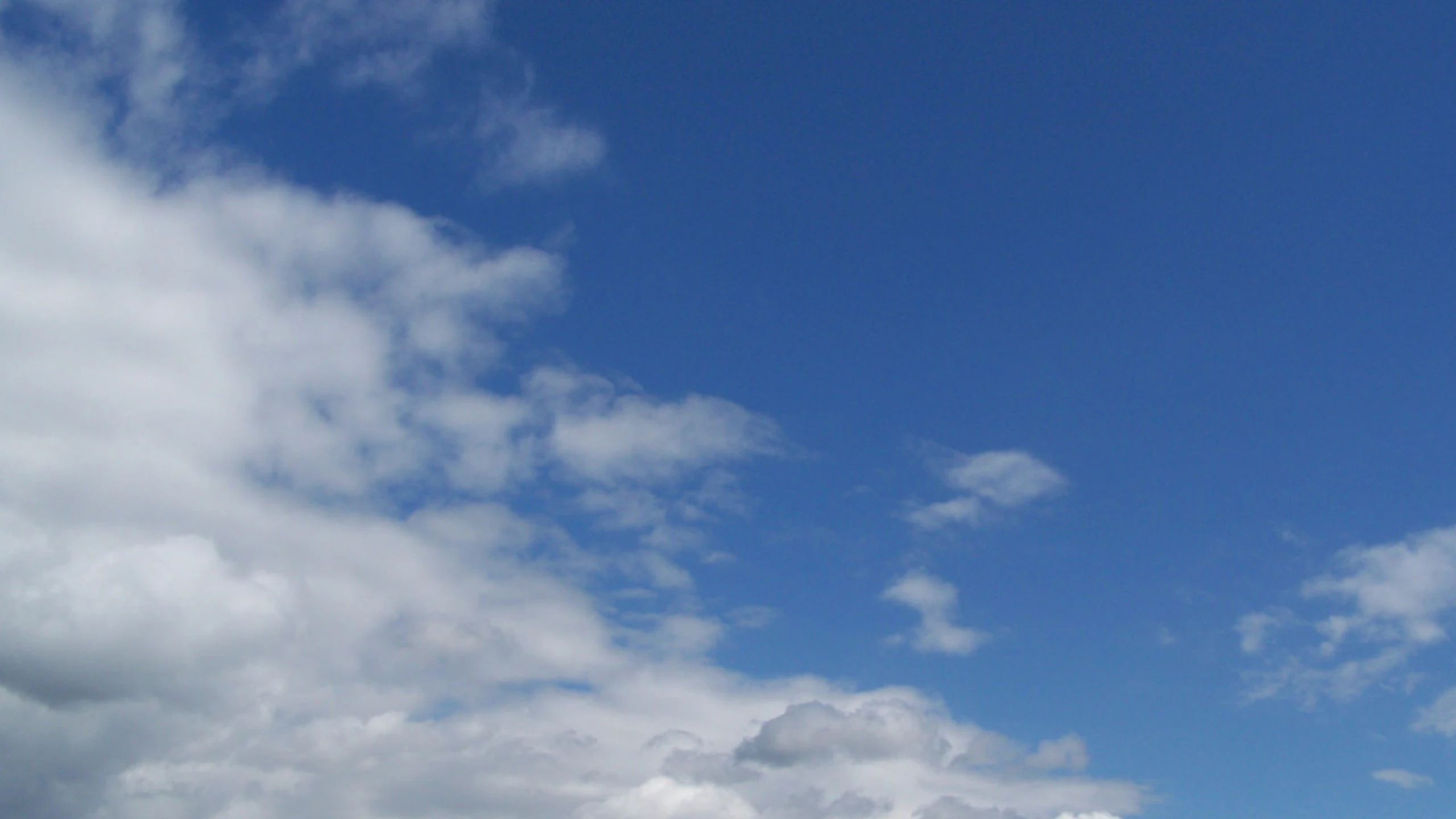 Current Tampa Weather: What You Need to Know