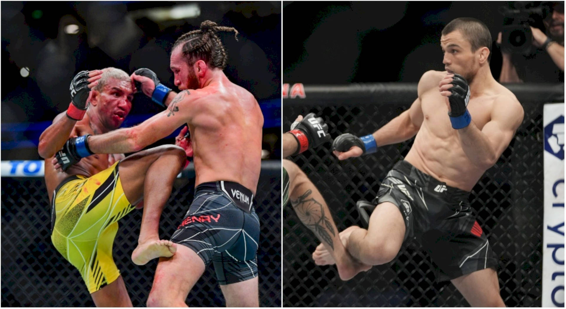 Umar Nurmagomedov: The Next Big Name in MMA
