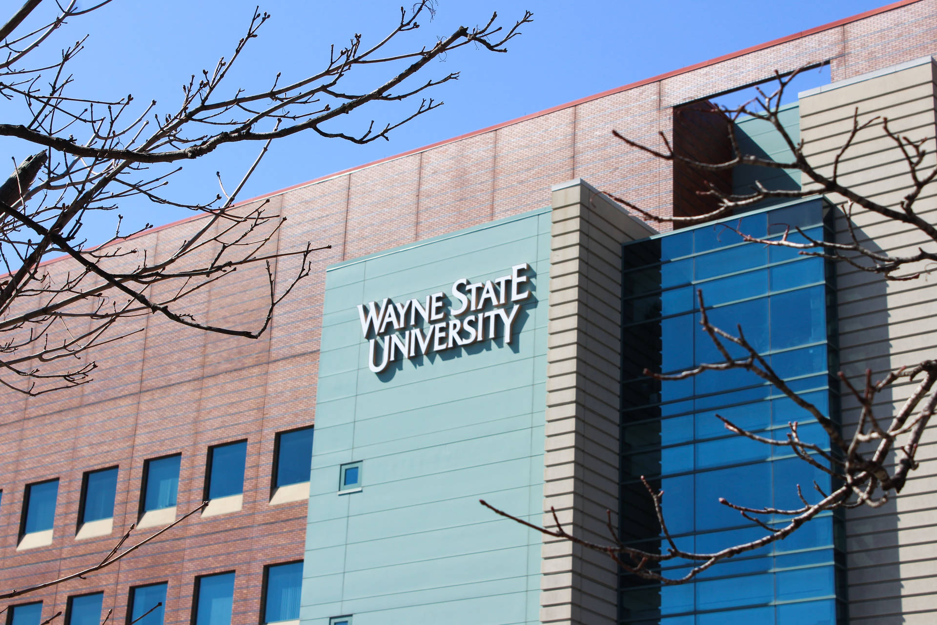 Discovering Wayne State University: A Hub of Education and Innovation