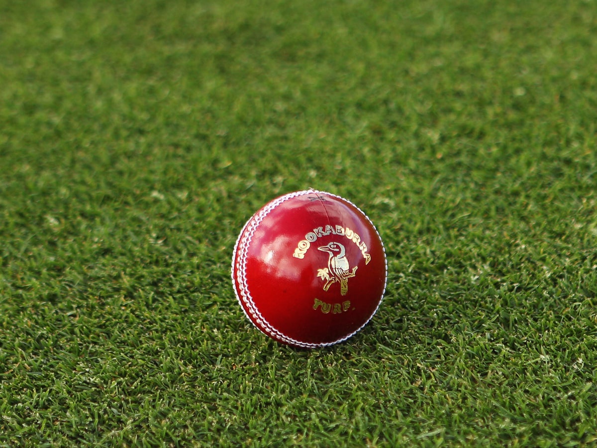 West Indies vs Afghanistan: A Clash in International Cricket
