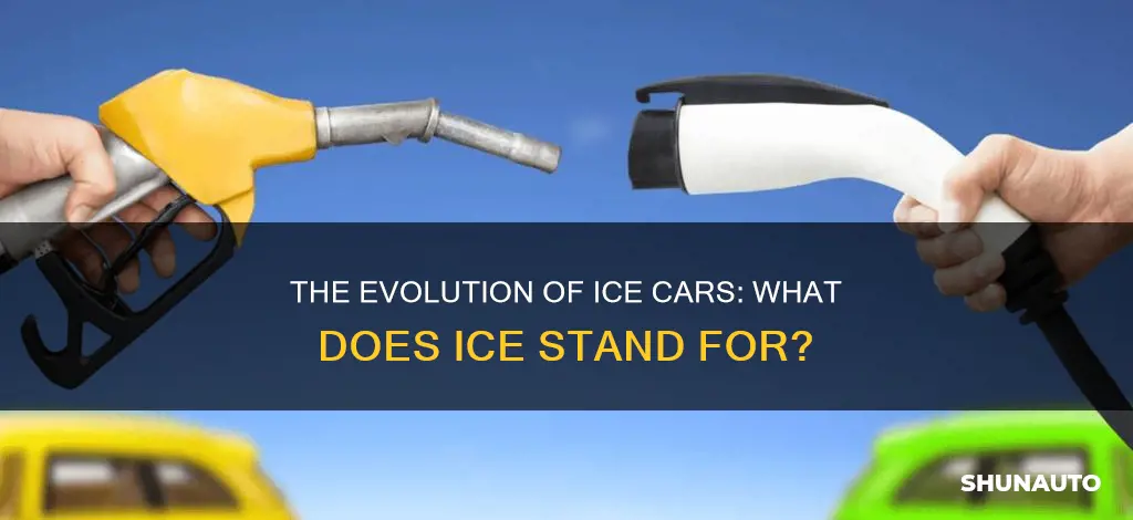 Understanding What ICE Stands For