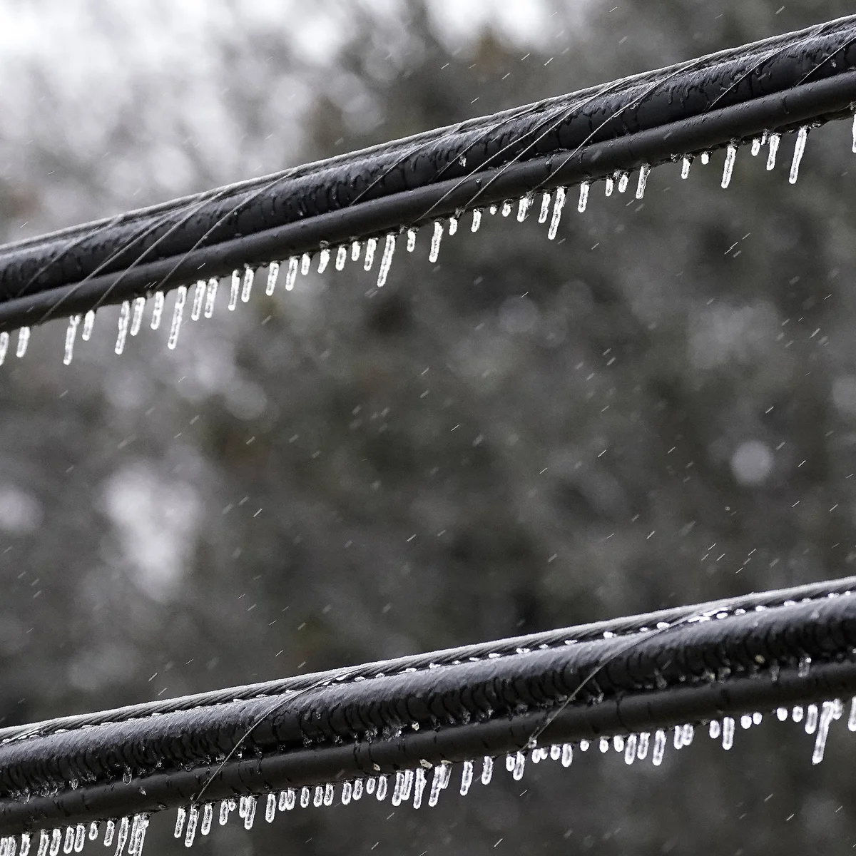 Understanding Freezing Rain: Causes and Effects