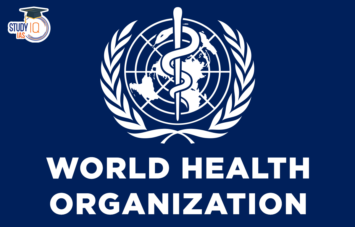 Latest Developments from the World Health Organization