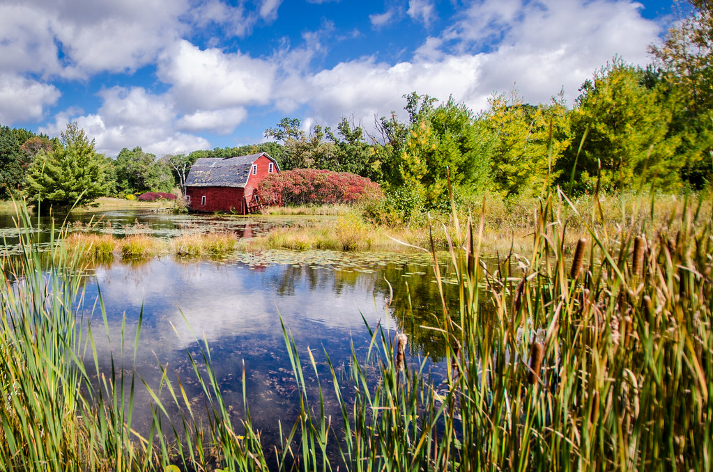 Exploring Zimmerman MN: A Thriving Community