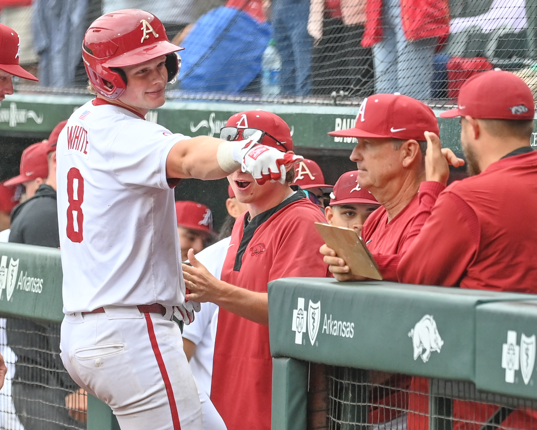 The Rise and Significance of Arkansas Baseball