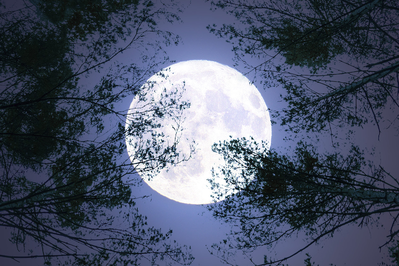 Understanding the Fascination Behind Blue Moons