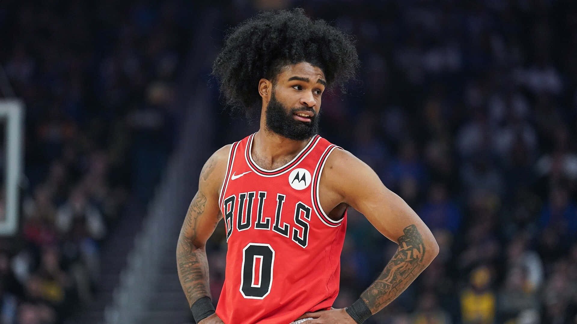 Coby White: The Rise of a Promising NBA Star
