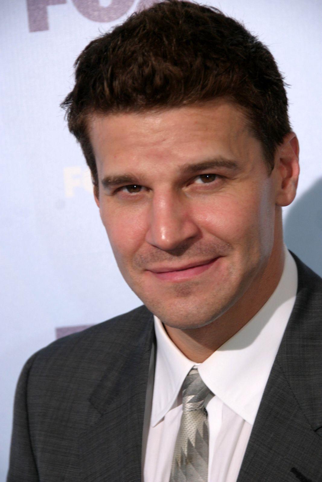 David Boreanaz: A Look at His Career and Impact