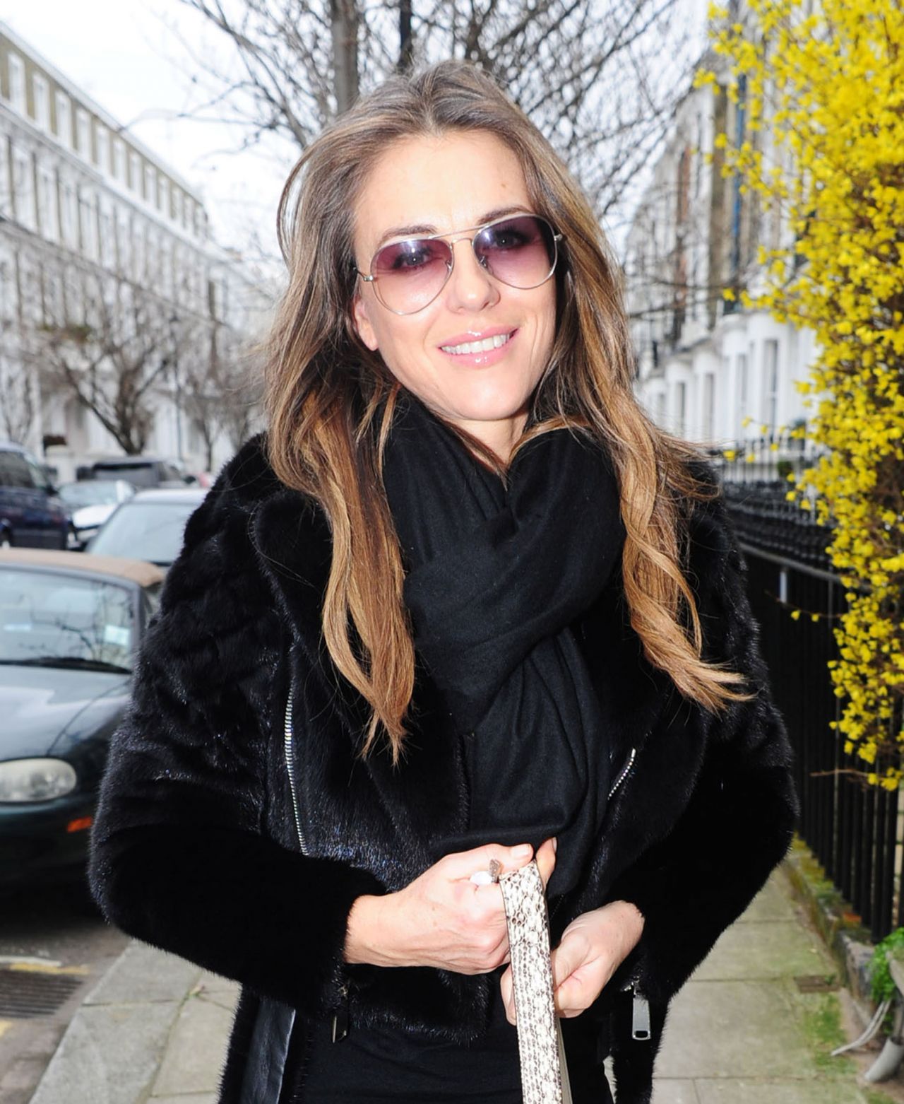 The Dazzling Journey of Elizabeth Hurley