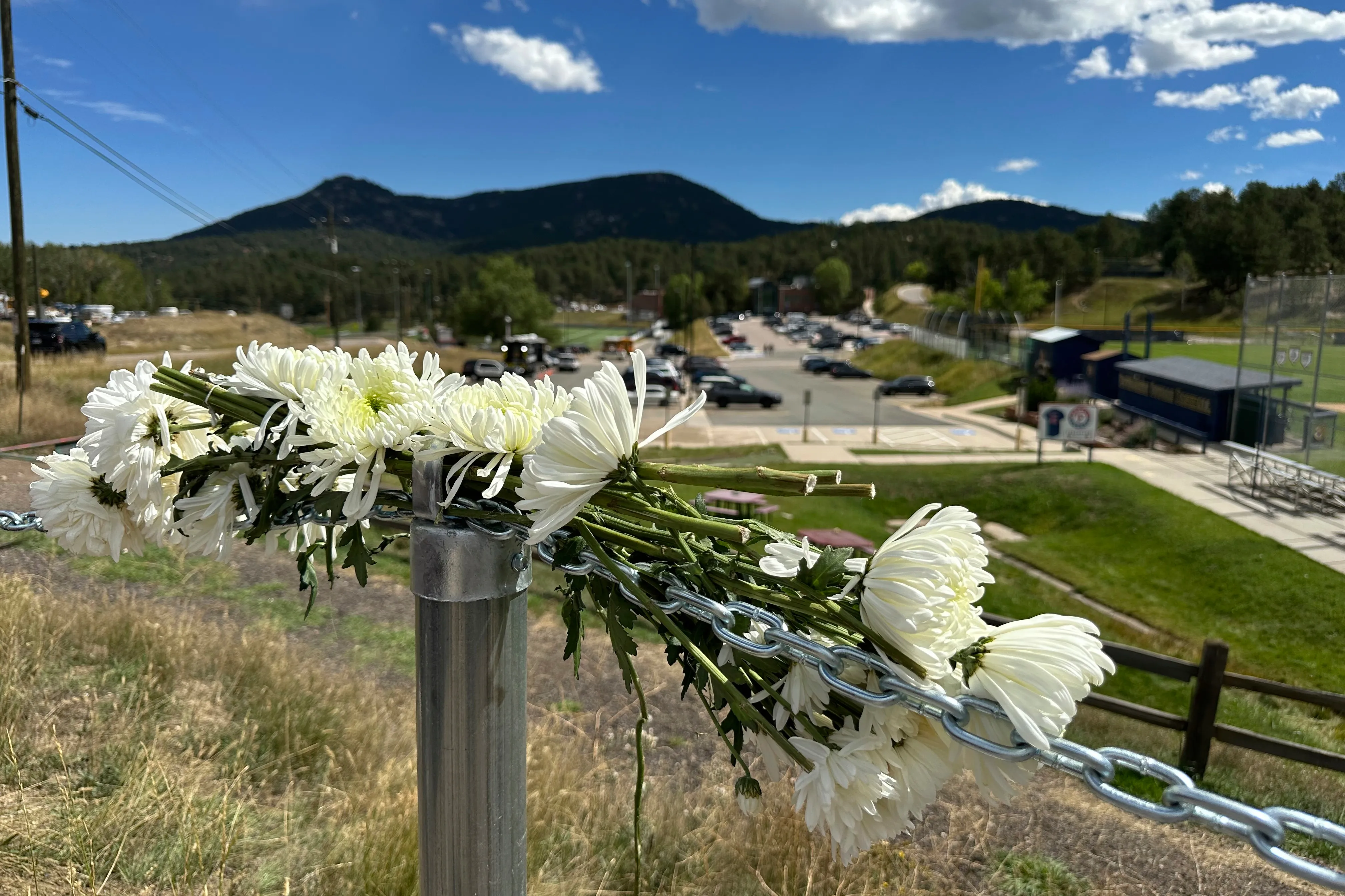 Understanding the Impact of the Evergreen Shooting Incident