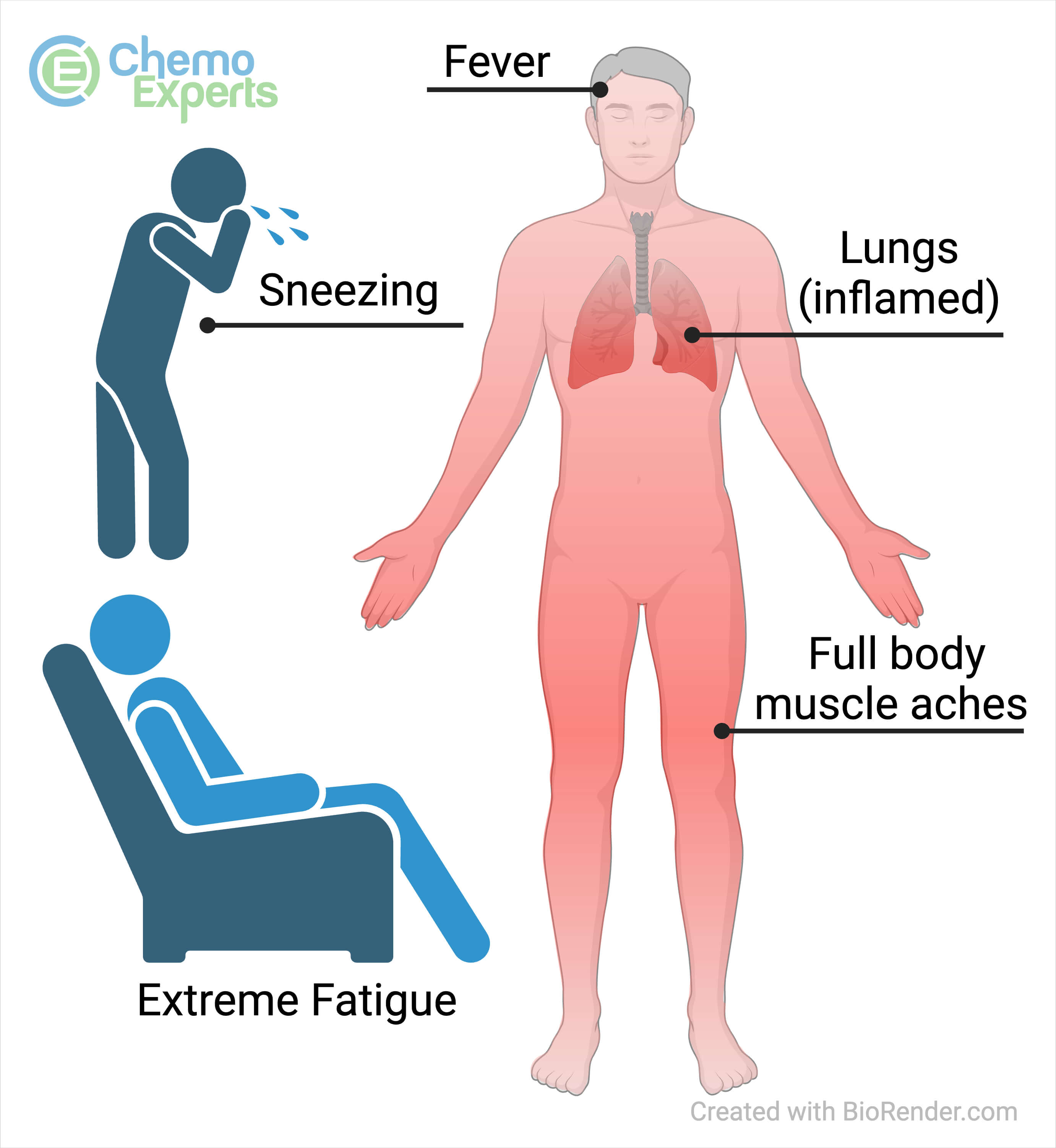 Understanding Flu Symptoms: A Guide for This Season