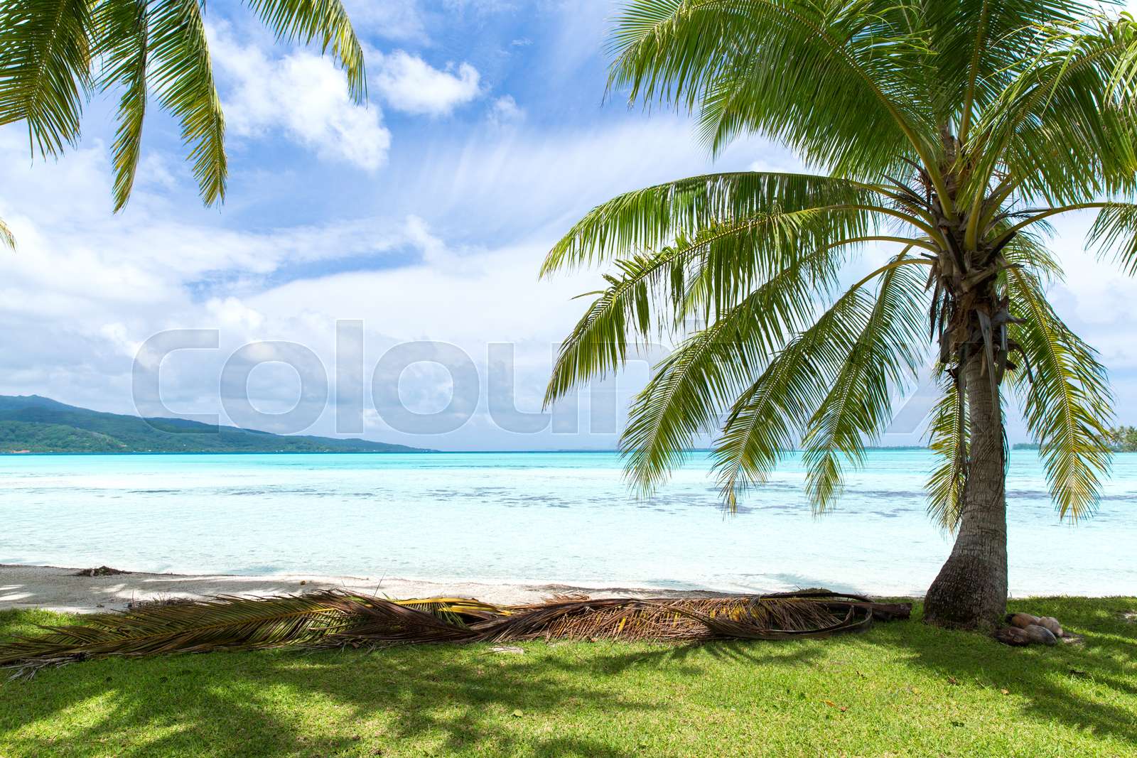 Discover the Allure of French Polynesia: A Tropical Paradise