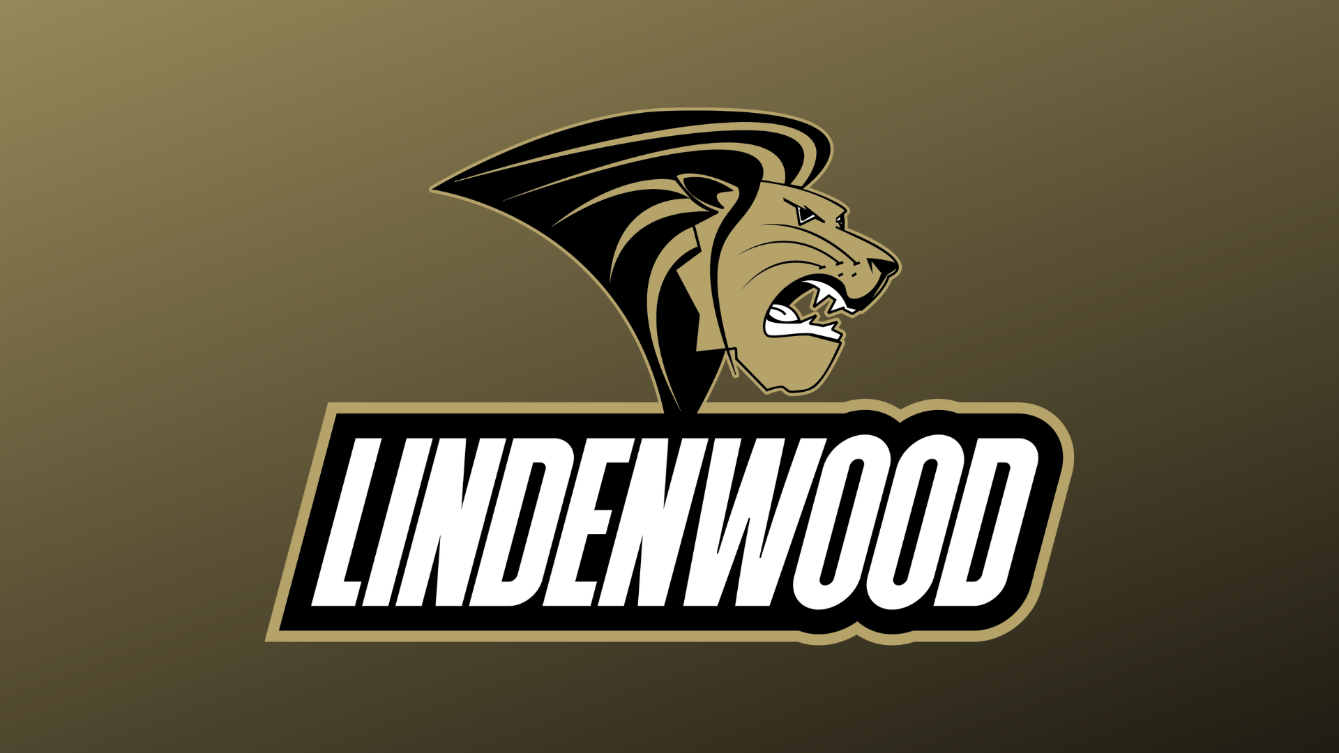 Lindenwood Basketball: A Season to Remember