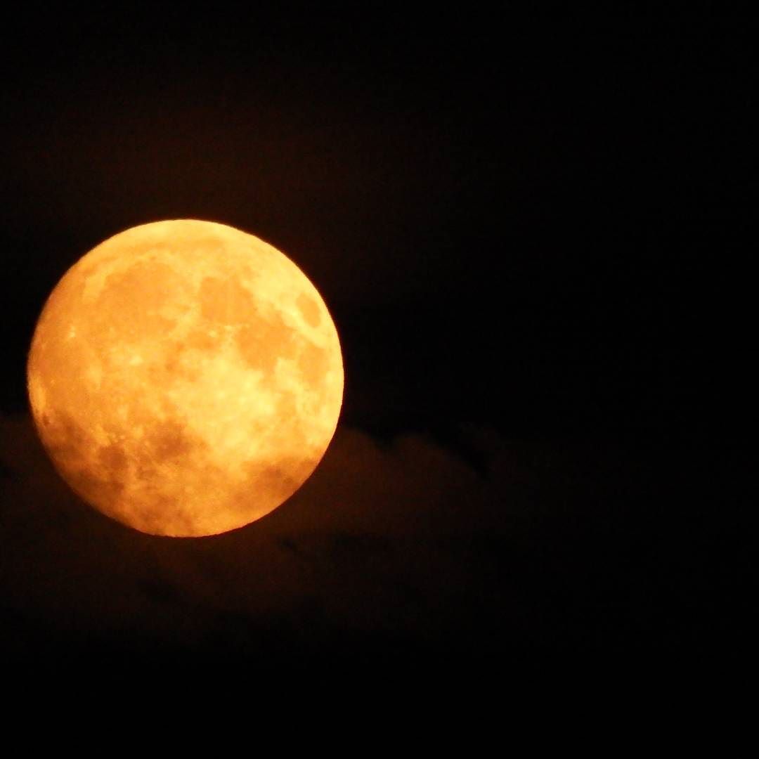 What You Can Expect to See in the Moon Tonight