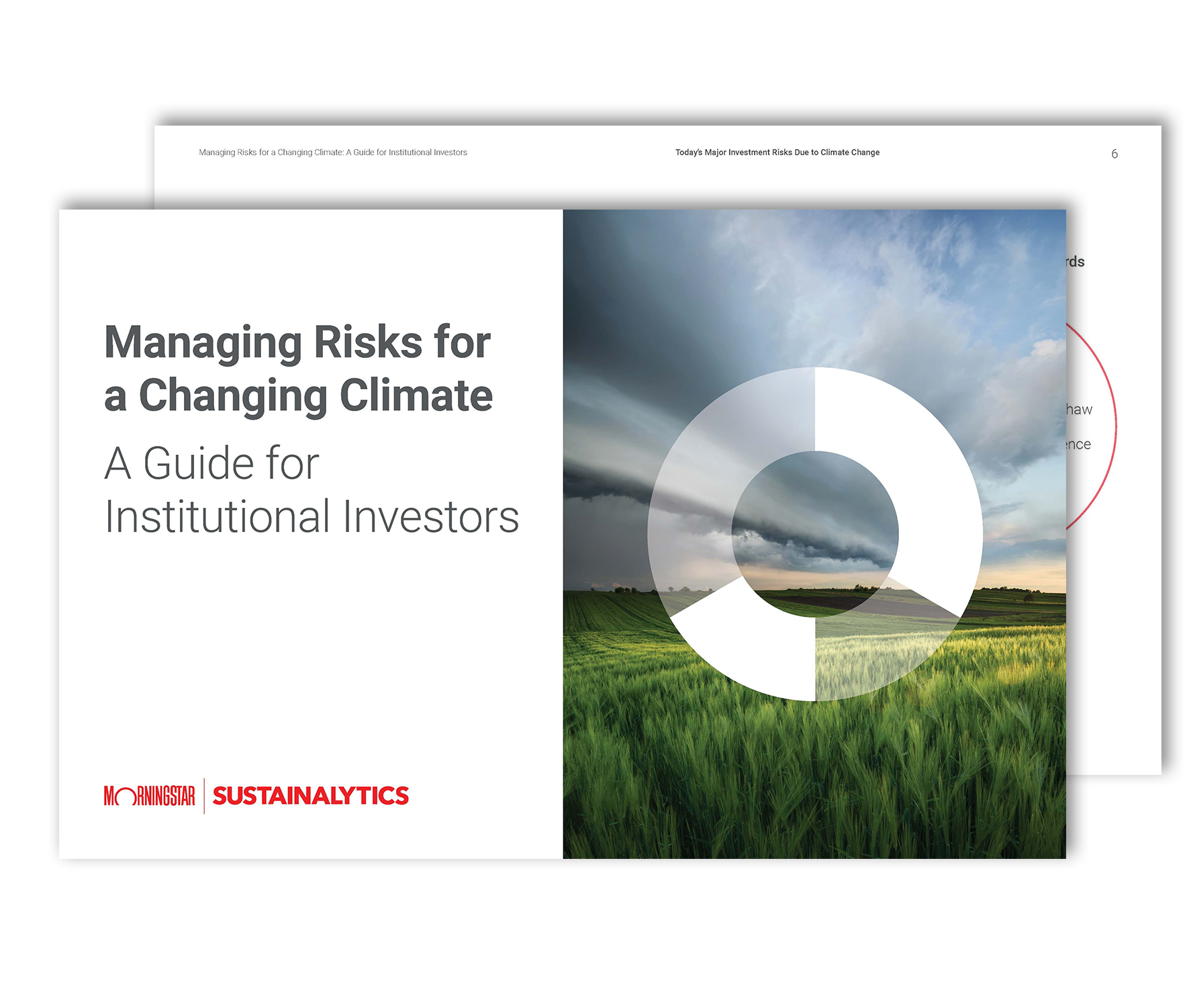 A Deep Dive into Morningstar’s Role in Investment Analysis