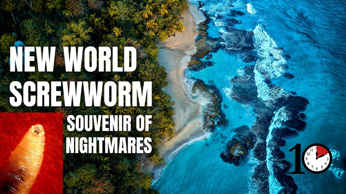 The Threat of New World Screwworm: What You Need to Know