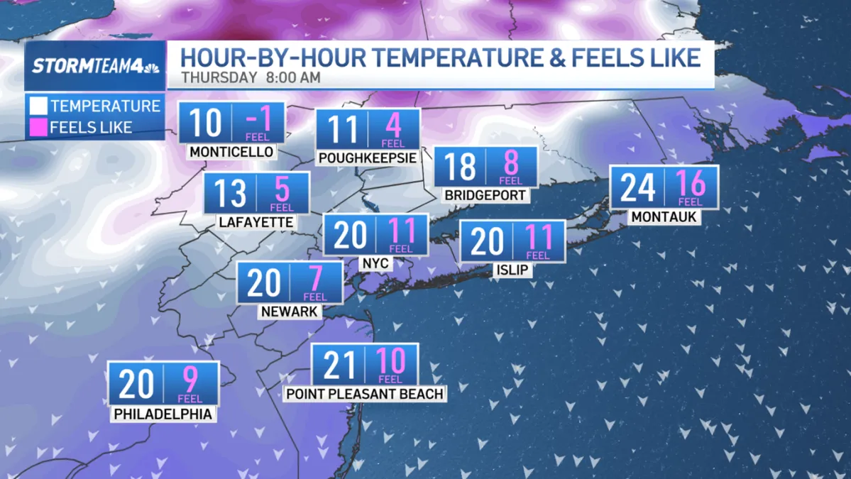 Understanding the Impact of NYC Cold Weather
