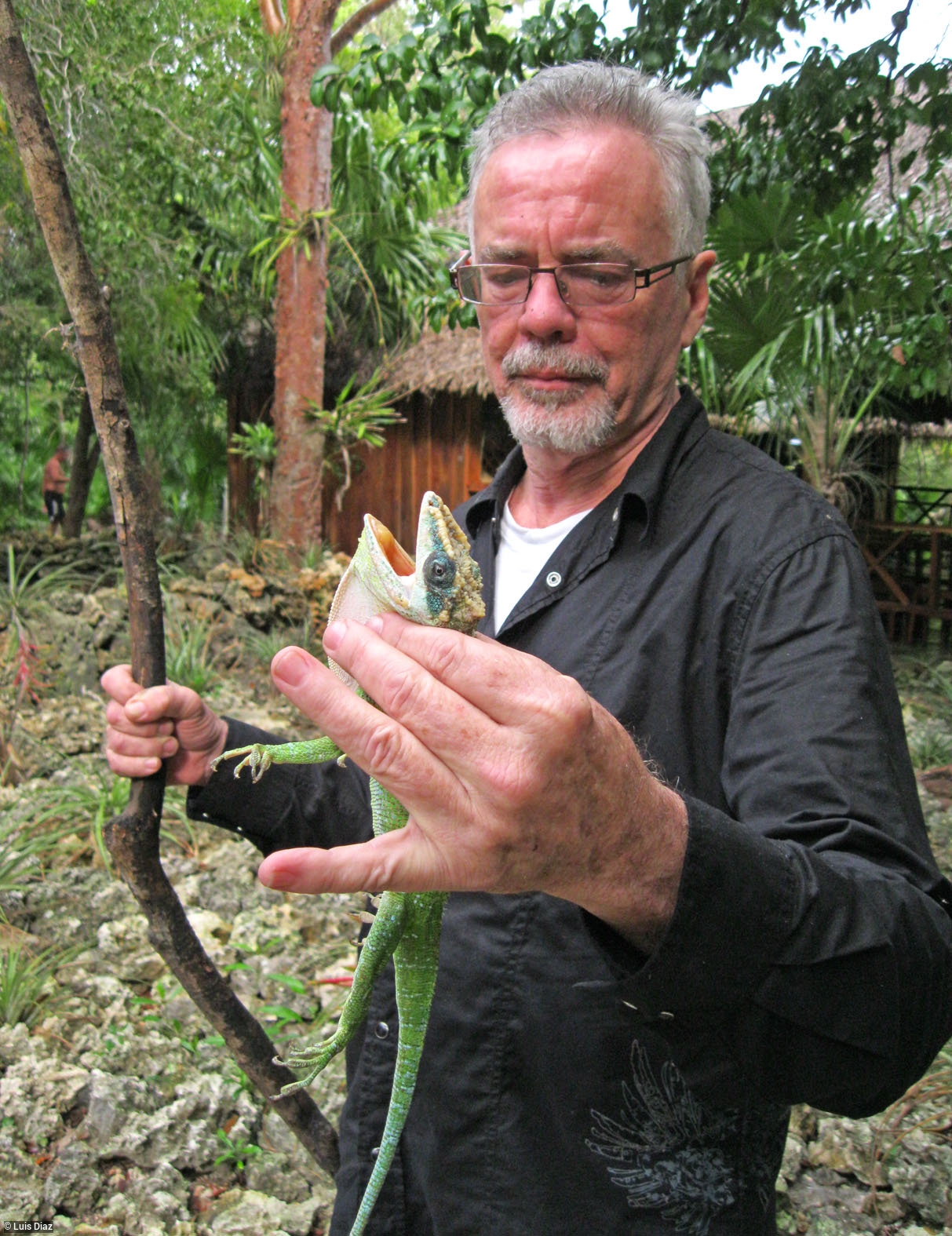 Exploring the Impact of Robert Trivers on Evolutionary Biology