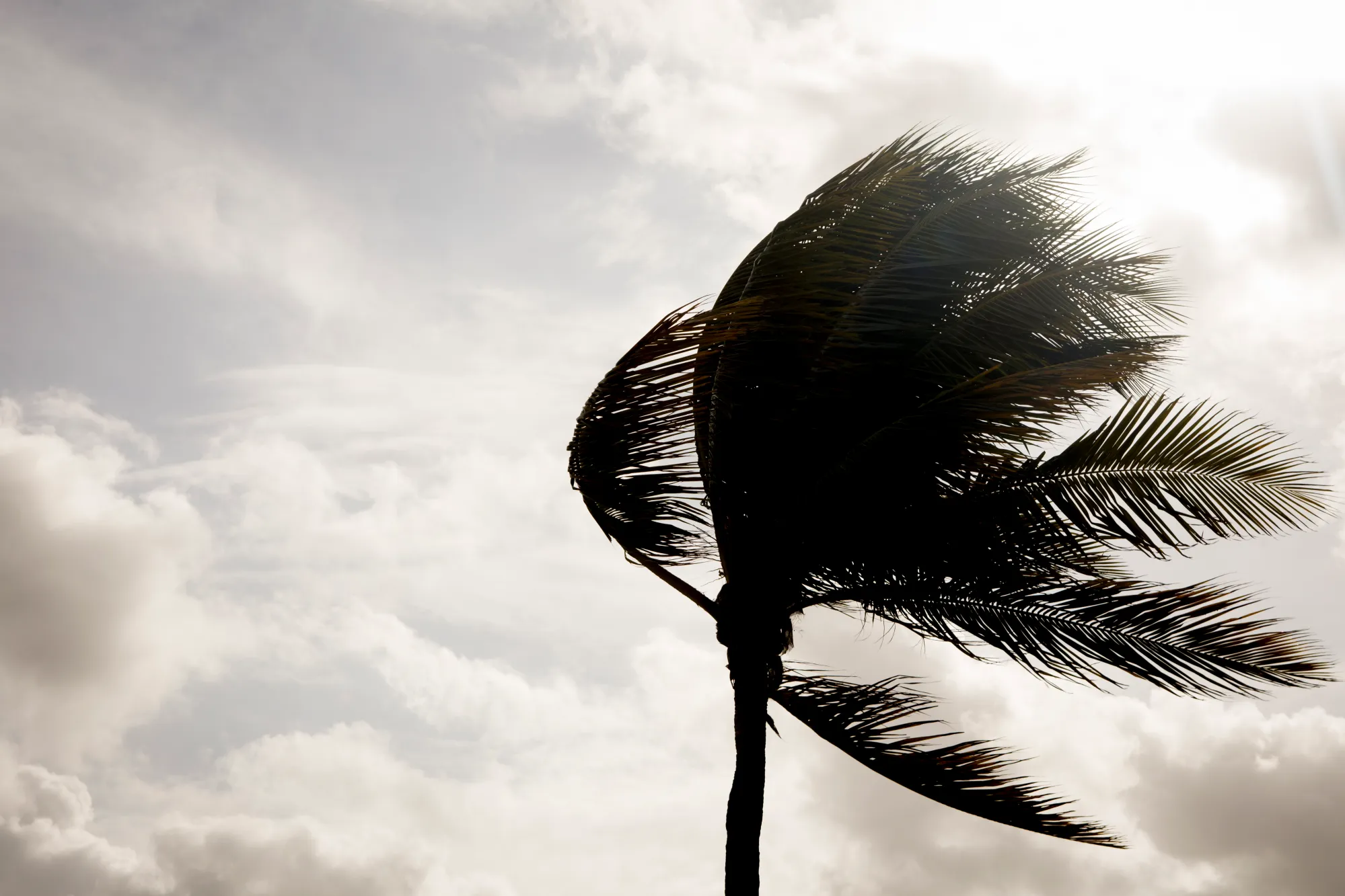 Current Trends and Forecasts for San Diego Weather