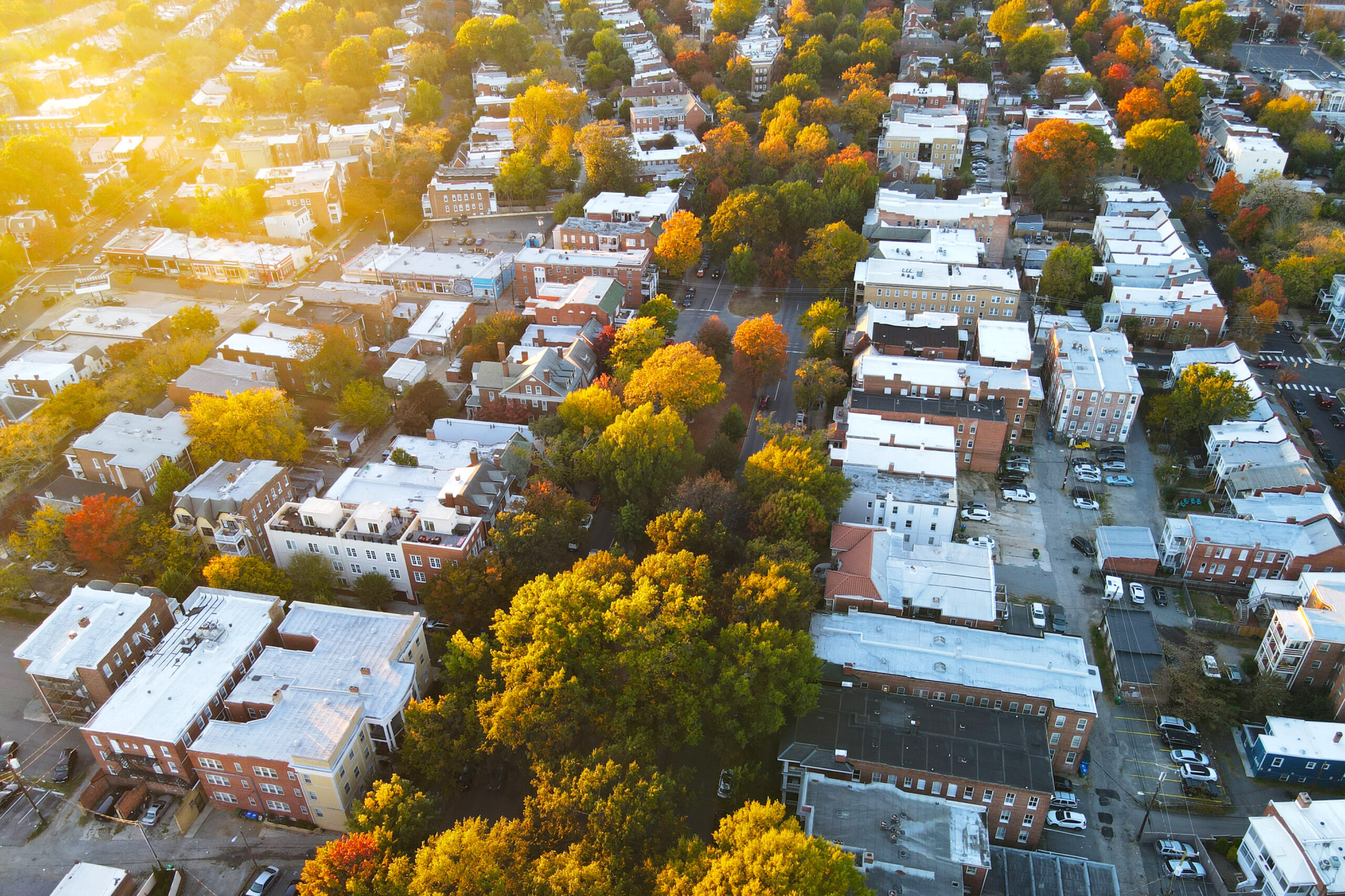 Understanding the Save Act Bill and Its Impact