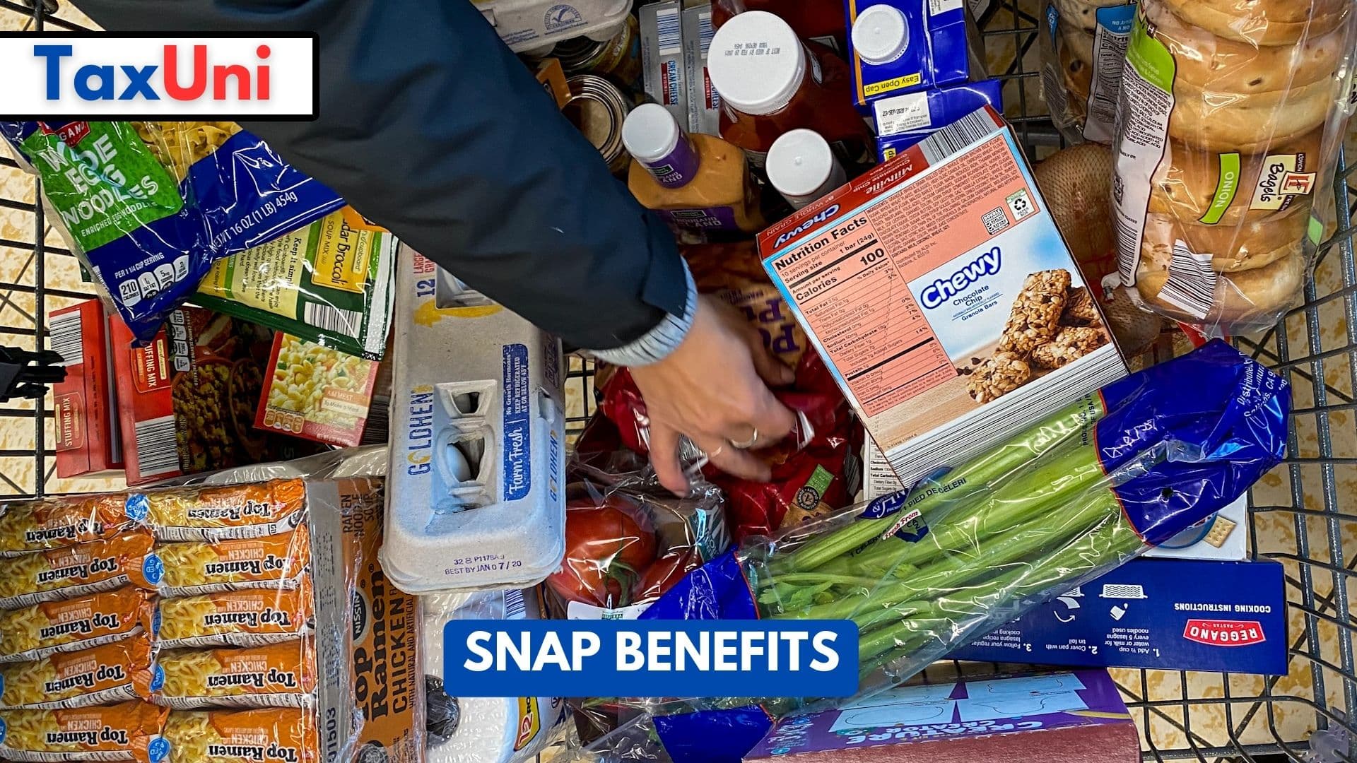 A Comprehensive Look at SNAP Benefits in 2023