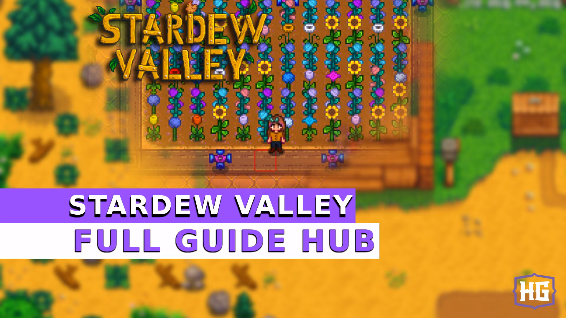 Exploring the New Marriage Candidates in Stardew Valley