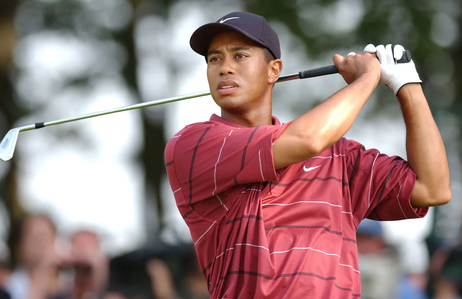 Tiger Woods: A Testament to Resilience in Golf
