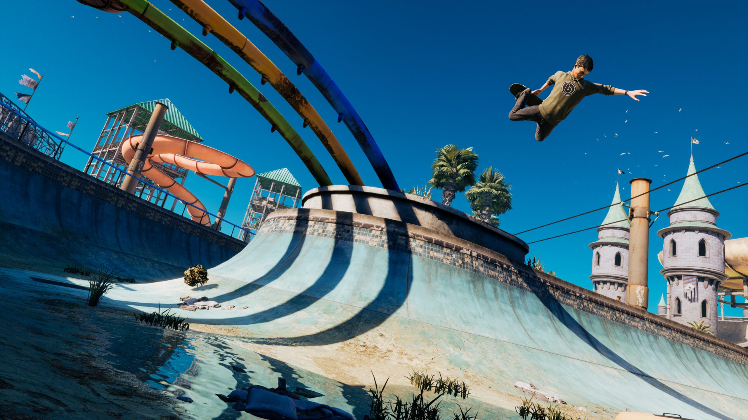 The Life and Legacy of Tony Hawk