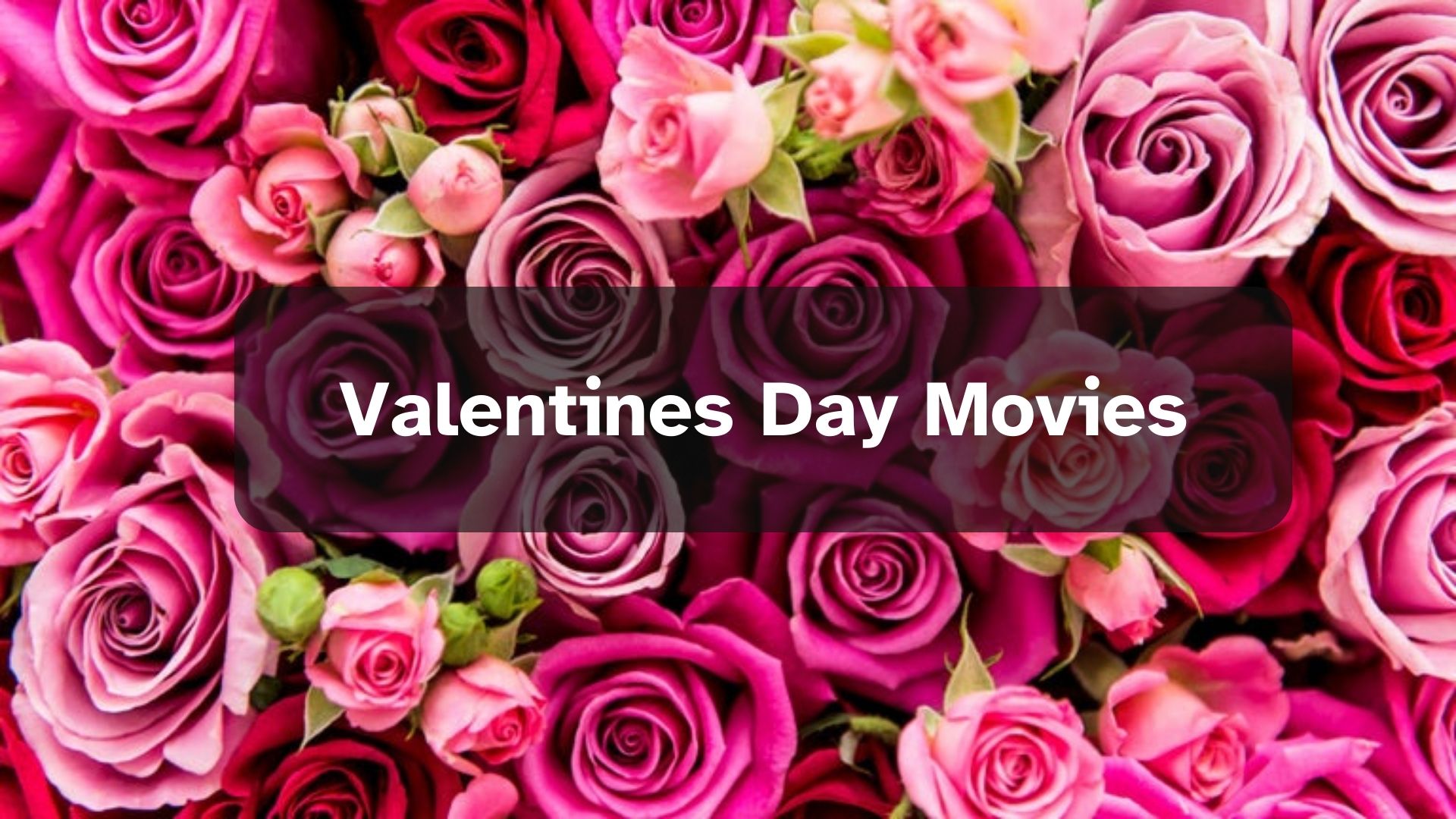 The Best Valentine’s Day Movies for a Romantic Evening