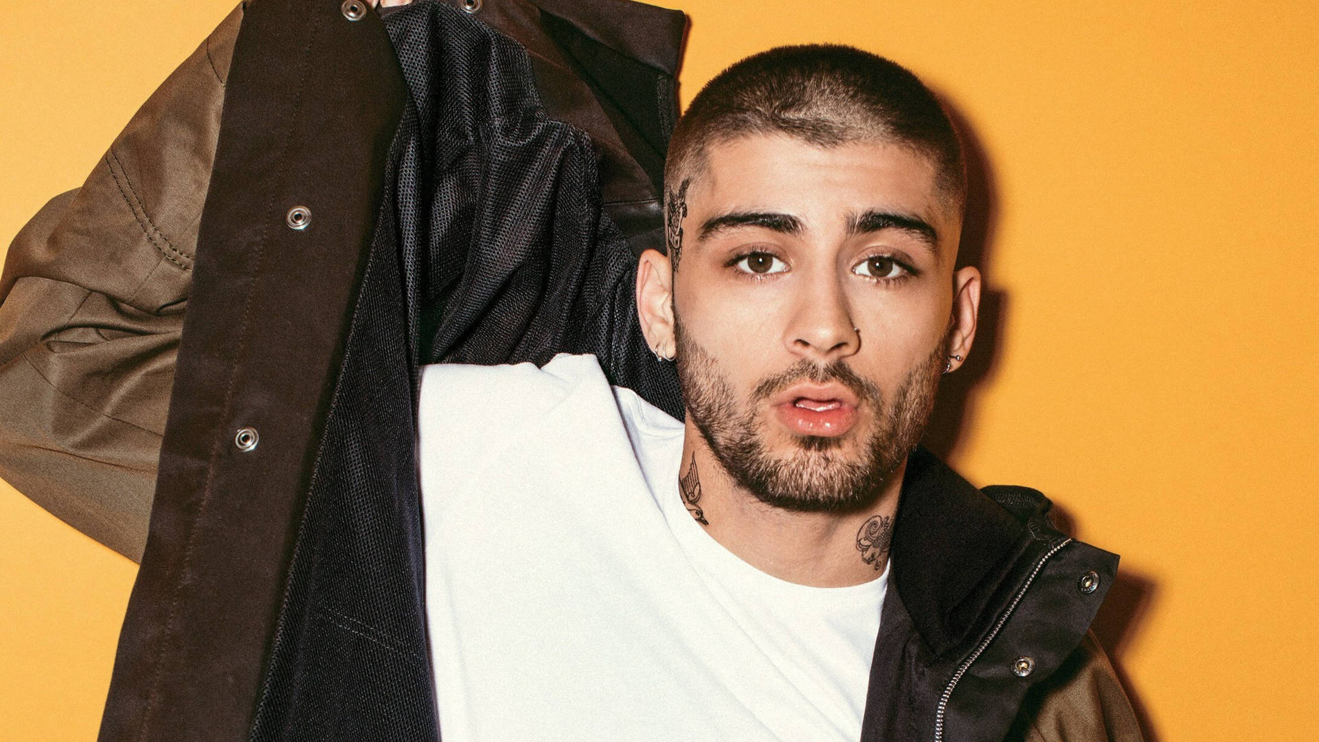 Zayn Malik: A Look at His Career and Recent Developments
