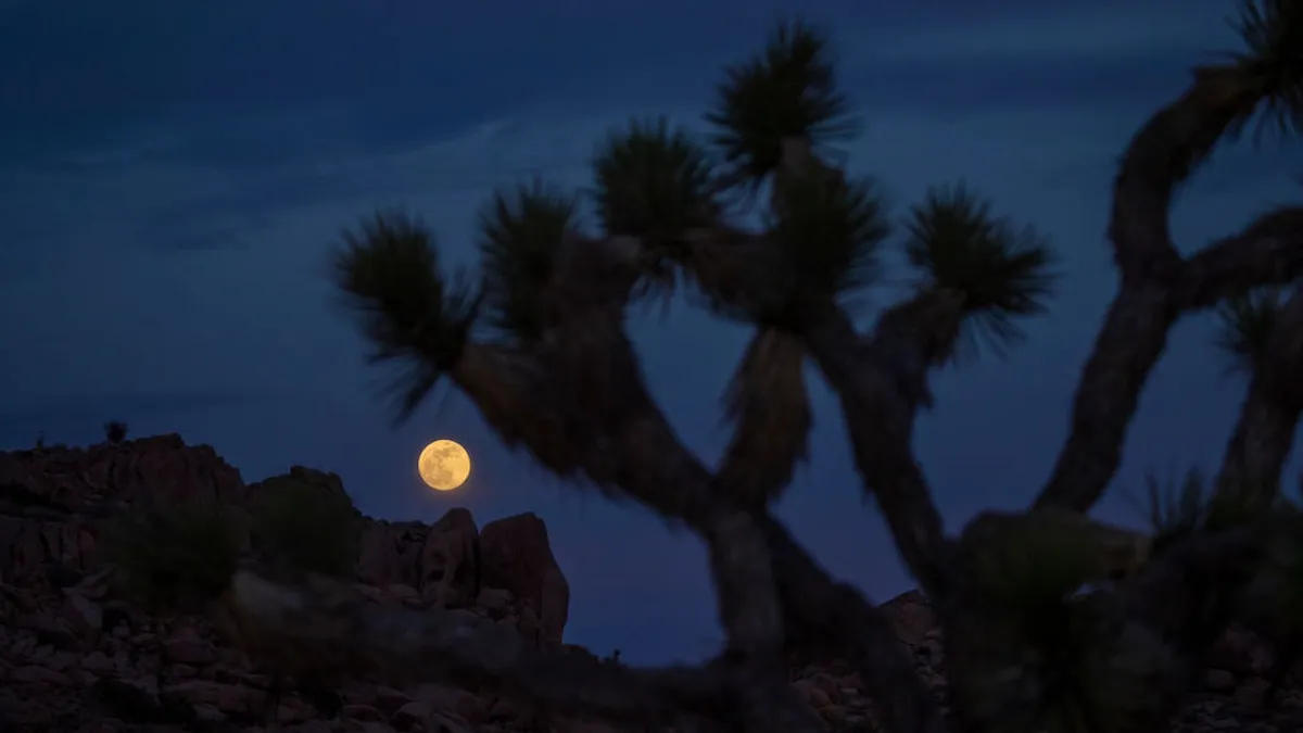 blood moon march 3 — CA news
