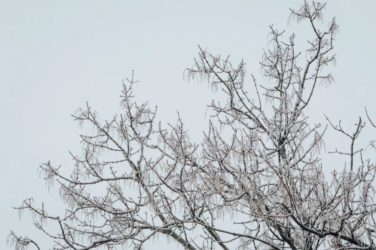 météo — CA news