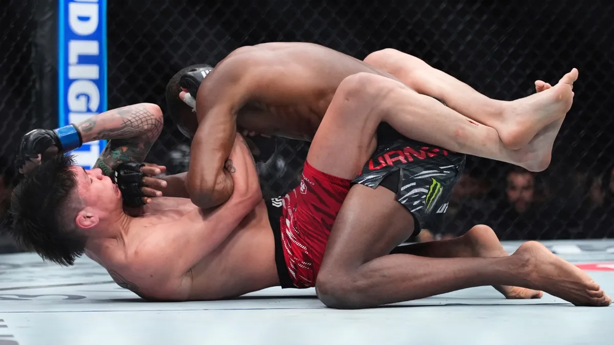 ufc fight — CA news