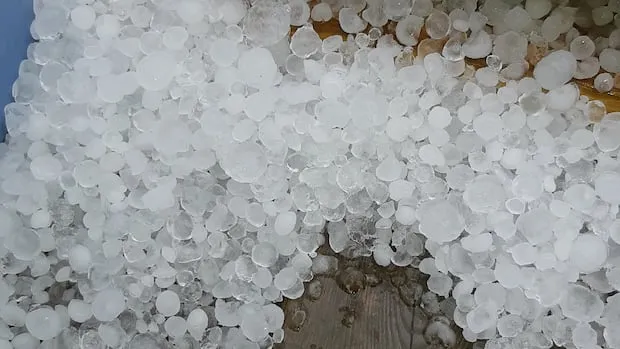 hail — CA news